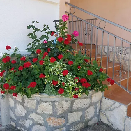 Nada Dom wakacyjny *